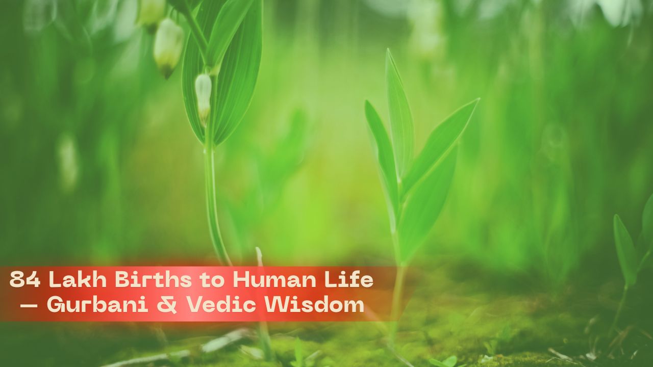84 Lakh Births to Human Life – Gurbani & Vedic Wisdom